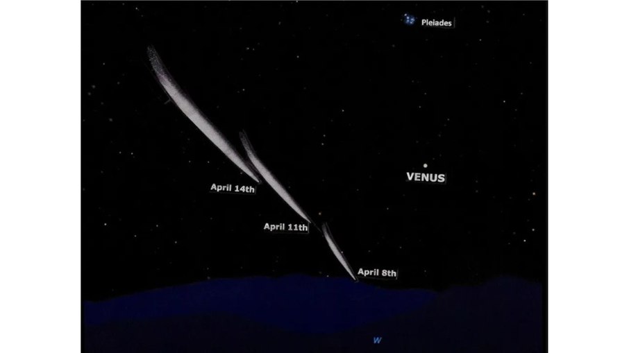 Cometa recém-descoberto pode brilhar no céu no início de abril