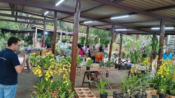 Feira de orquídeas celebra o Dia das Mães no entreposto da CEAGESP
