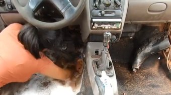 Mulher%20viraliza%20ao%20desmontar%20carro%20do%20marido%20na%20lavagem