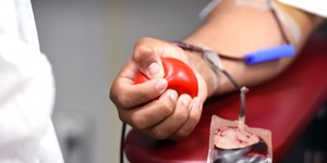7 fatos para perder o medo de doar sangue