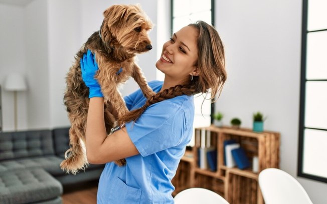 Veja como cuidar adequadamente de cachorros idosos