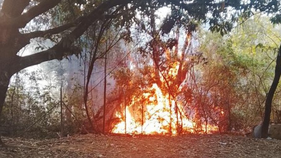 Corpo de Bombeiros e brigadistas atuaram em regiões próximas ao Hospital da Baleia