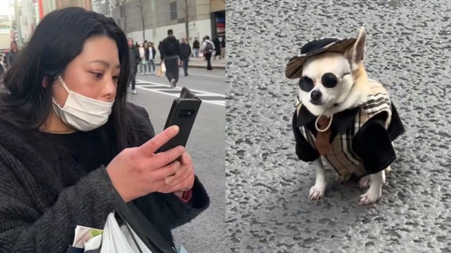 Pet foi elogiado ao usar roupa diferente Pet foi elogiado ao usar roupa diferente