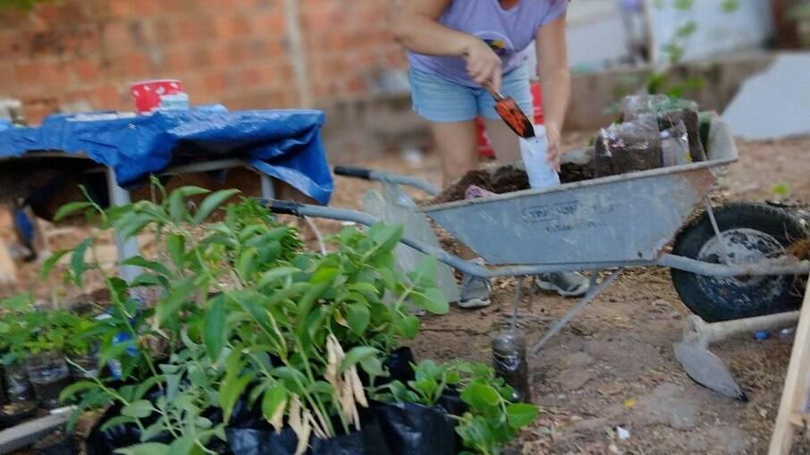 Michela Calaça, diretora do MMC, prepara mudas de plantas nativas da caatinga 