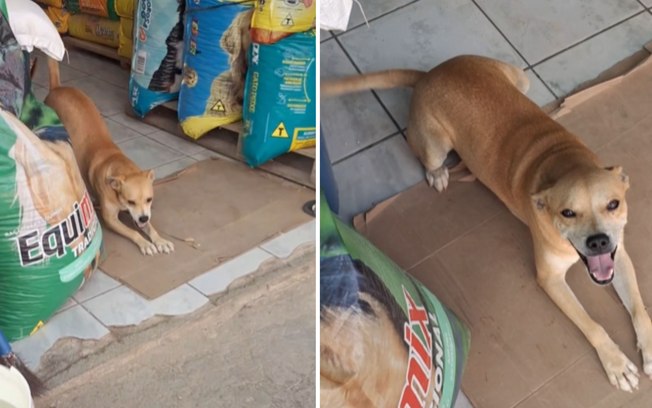 3cl8loh2d9zd5x9k4pnk30qf0