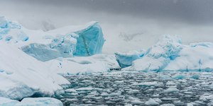 Derretimento de gelo na Antártida preocupa especialistas