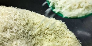 Terremoto: Brasil doará 10 toneladas de arroz à Colômbia
