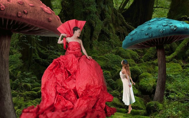 Temporada Dellarte 2024 tem Momix, Parsons e Ópera de Pequim