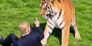 Trump publica vídeo de IA domando tigre após ataque fatal
