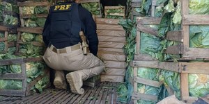Repolho com maconha: PRF apreende quase 2,5 toneladas da droga