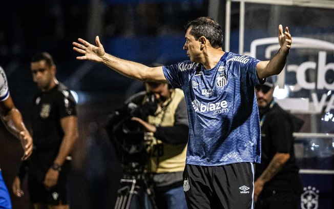 Fábio Carille chegou ao Santos no começo da temporada