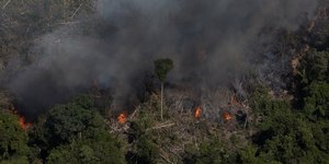 Inscrições para Concurso do Ibama com 460 vagas vão até hoje (18)