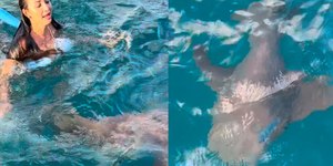 Jovem é surpreendida por tubarão em mergulho de mar
