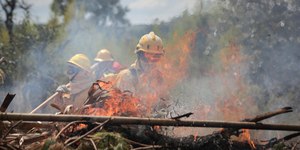 Defesa Civil alerta para riscos de incêndios no interior de SP