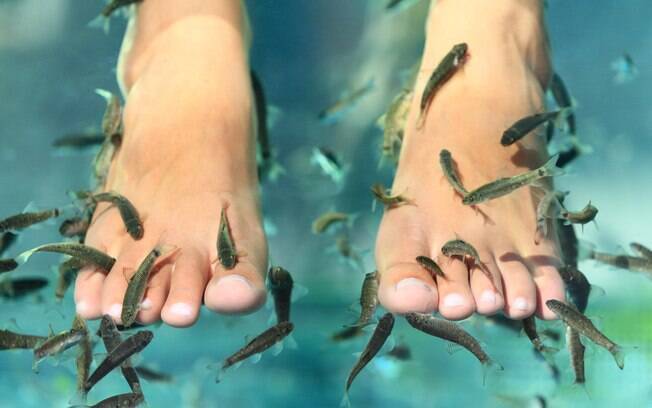 Na técnica diferente de pedicure, os peixes comem as peles mortas dos pés dos clientes
