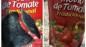 Criança é achada em casa com lixo e comida podre