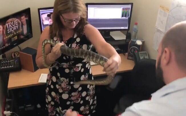 A jornalista Kate Limon publicou em seu Twitter um vídeo com a cobra 'invasora', que estava atrás de um computador