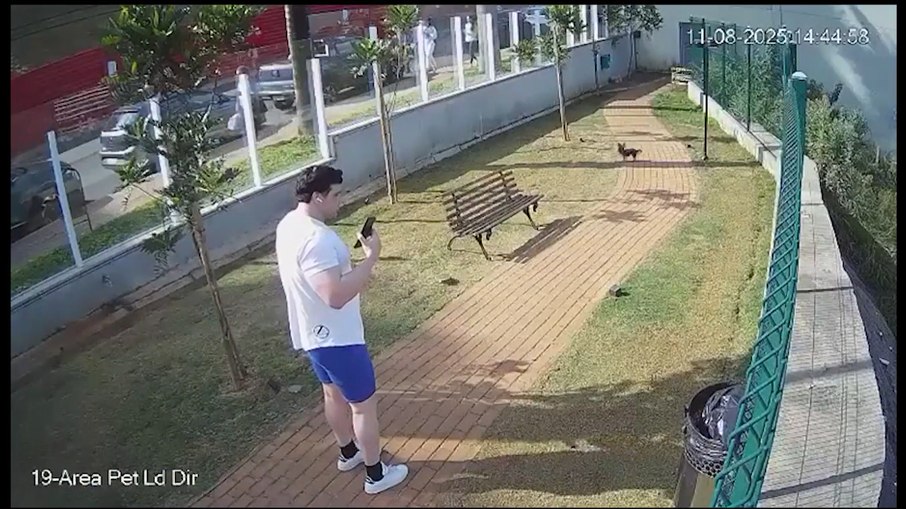 René Júnior saiu para passear com dois cães poucas horas após o crime