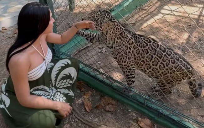 Isabelle Nogueira visita filhote de onça resgatado e vira madrinha