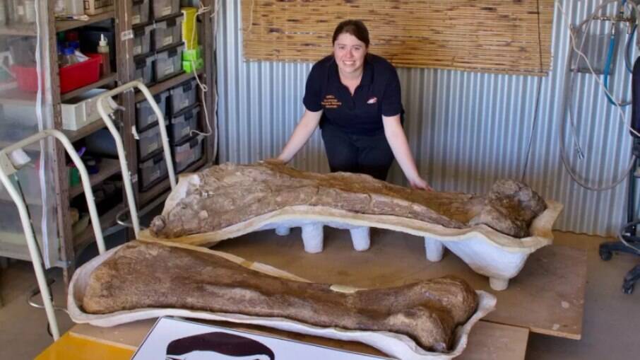 Dinossauro gigante descoberto no outback da Austrália foi identificado como uma nova espécie e reconhecido como um dos maiores que já vagou pela Terra, de acordo com paleontólogos