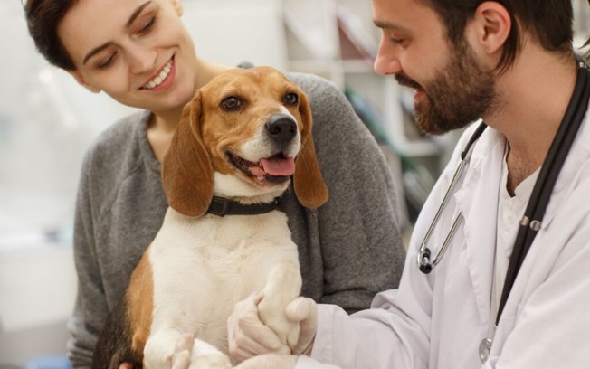9 motivos para vacinar o seu animal de estimação