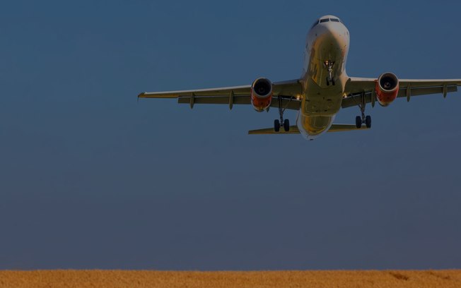 Pesquisadores querem produzir combustíveis de aviões sustentáveis por meio da agricultura