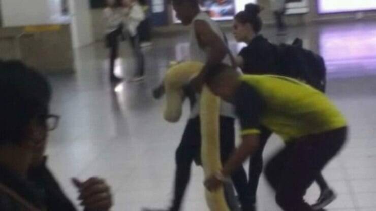 Cobra E Transportada Em Vagao De Metro E Choca Passageiros Na Estacao Tatuape Brasil Ig