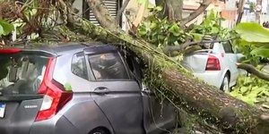 Chuva forte provoca quedas de árvores e deslizamentos no Rio