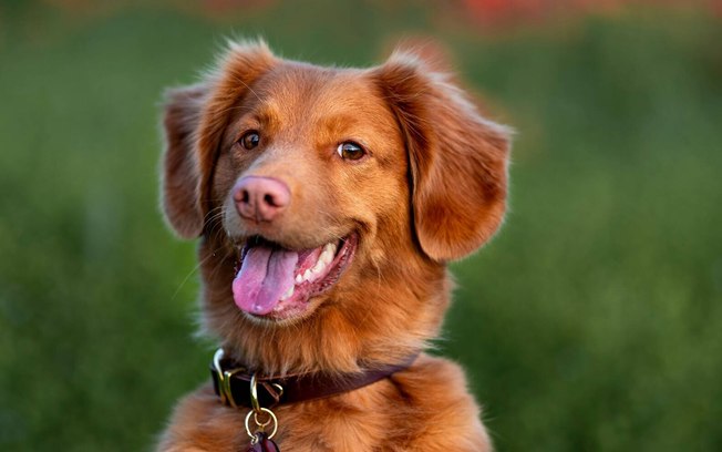 3j2w838j8pekiy5w500dde30d