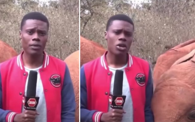 3jd0jygs81r5km5ibntqwnysh