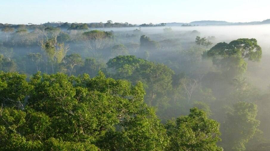 Vista da floresta perto de Cristalino Lodge, Alta Floresta, Mato Grosso, Brasil