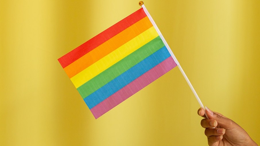 Dos entrevistados que não são LGBT, apenas 7% concordam que a comunidade queer deve ter os mesmos direitos de pessoas hétero-cis