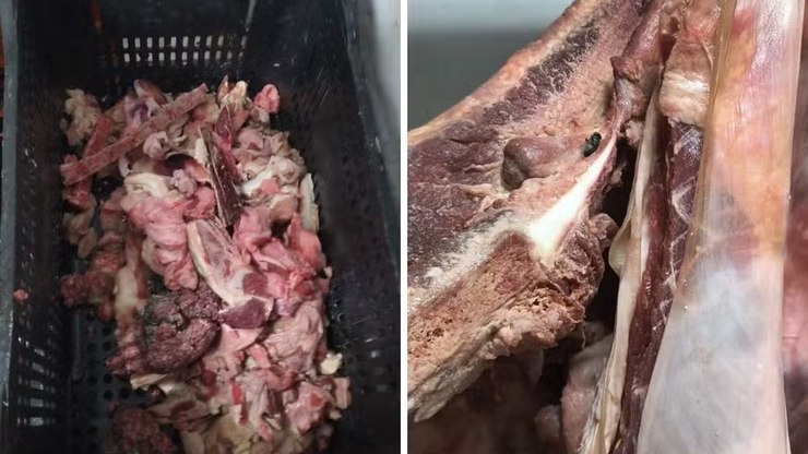 Dono de supermercado é preso com 400 kg de alimentos estragados