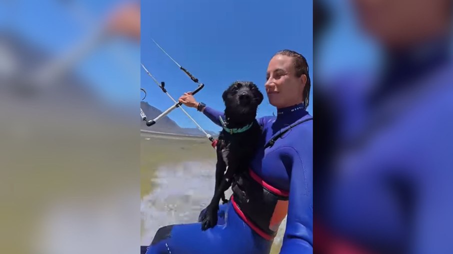 Cão radical acompanha tutora em passeio de kitesurf Cão radical acompanha tutora em passeio de kitesurf
