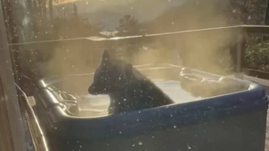O animal decidiu invadir a cabana e tomar um banho de banheira