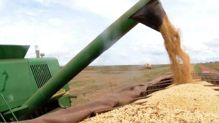 Plano Safra tem juro menor e carência recorde para agro verde