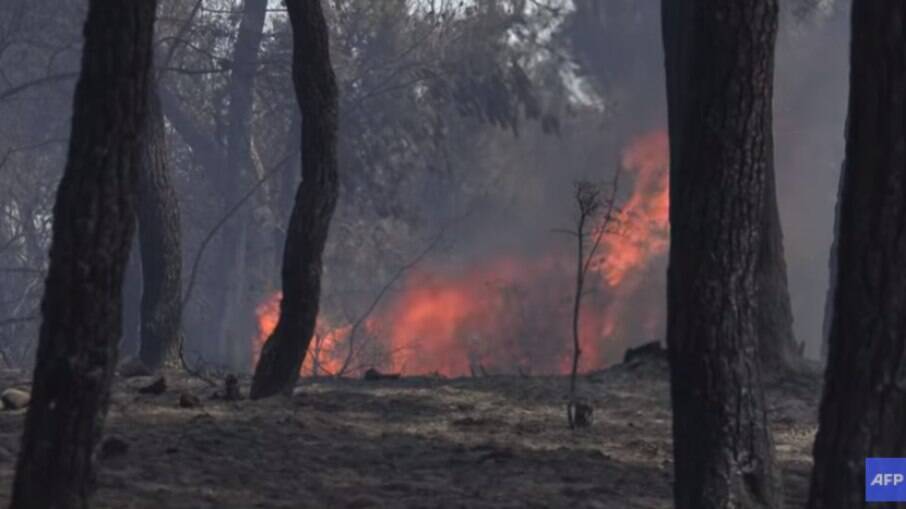 Incêndio florestal acontece na Grécia
