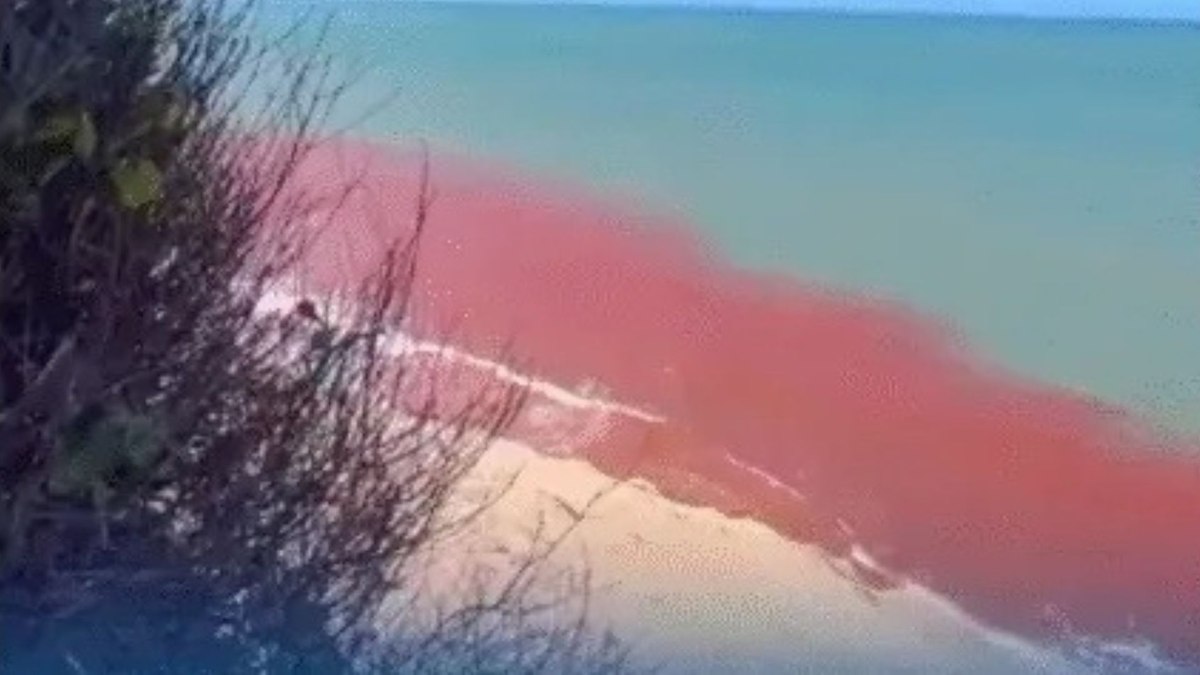Água do mar em Pipa fica vermelha e intriga moradores Água do mar em Pipa fica vermelha e intriga moradores