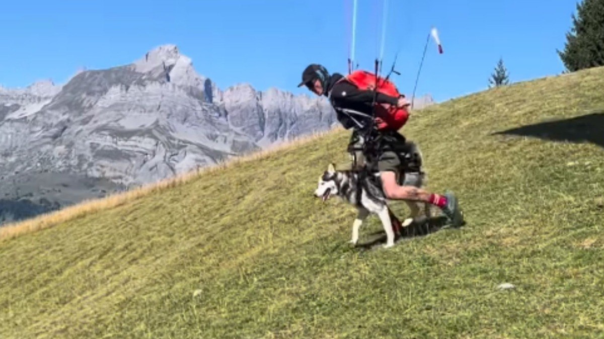 Husky%20sobrevoa%20montanhas%20em%20voo%20de%20parapente