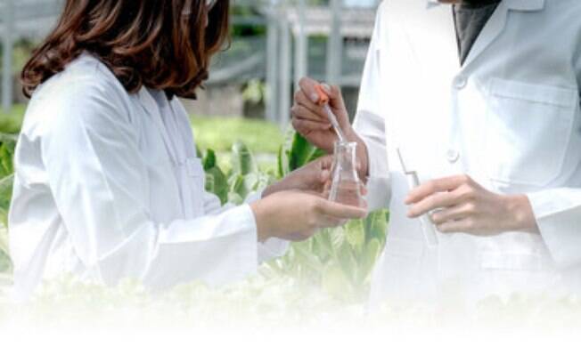 PlantPraxis e PlantForm firmam parceria com Bio-Manguinhos/Fiocruz