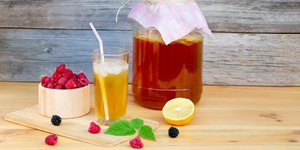 Kombucha: veja a bebida milenar que conquista o mundo moderno