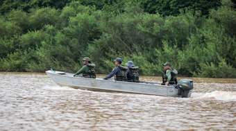 Peixes%3A%20veja%20esp%C3%A9cies%20liberadas%20a%20partir%20de%20hoje%20em%20S%C3%A3o%20Paulo