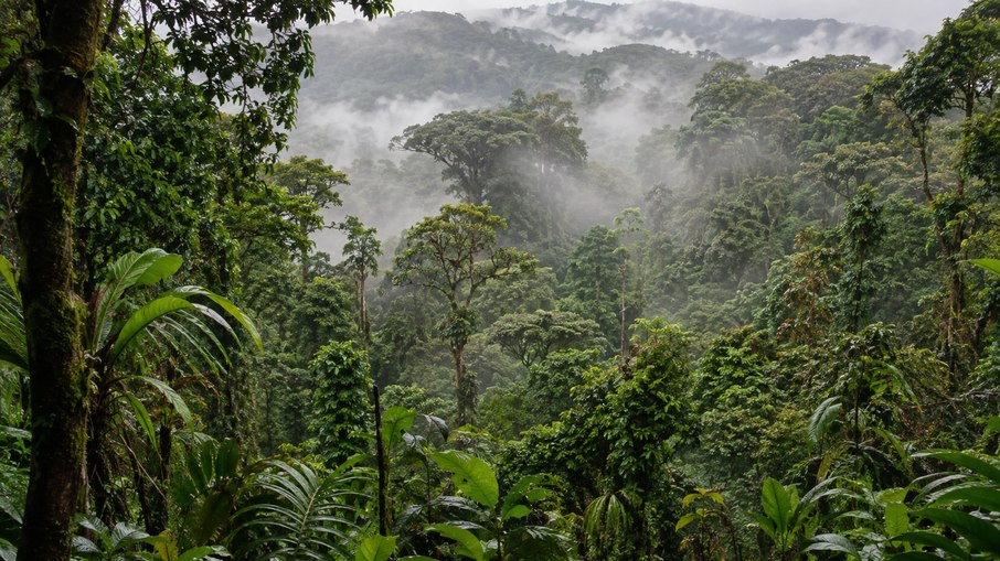 Bilionário sueco-britânico comprou a madeireira Gethal Amazonas por U$ 22 milhões, cerca de R$ 60 milhões à época Bilionário sueco-britânico comprou a madeireira Gethal Amazonas por U$ 22 milhões, cerca de R$ 60 milhões à época