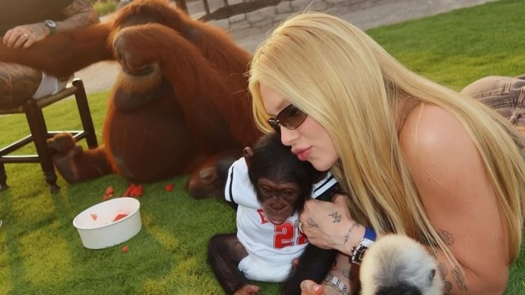 Virginia se pronuncia após repercussão de vídeo gravado em zoológico