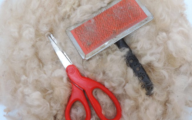 Coceira e queda de pelo podem indicar dor em cães e gatos 3nfv7j60l72qjo2bk2kgnse8p