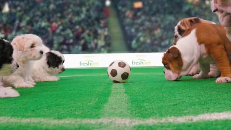 Gato preto invade jogo de futebol e leva torcedores ao delírio