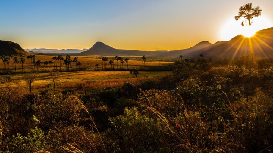 Jardim de Mytrea - Chapada dos Veadeiros (GO)