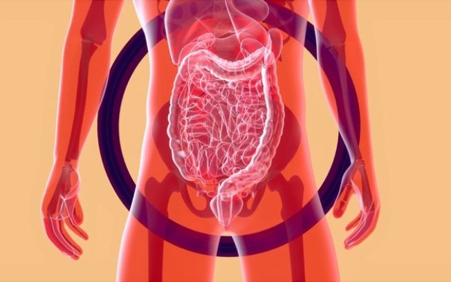 6 estratégias para melhorar a saúde do intestino