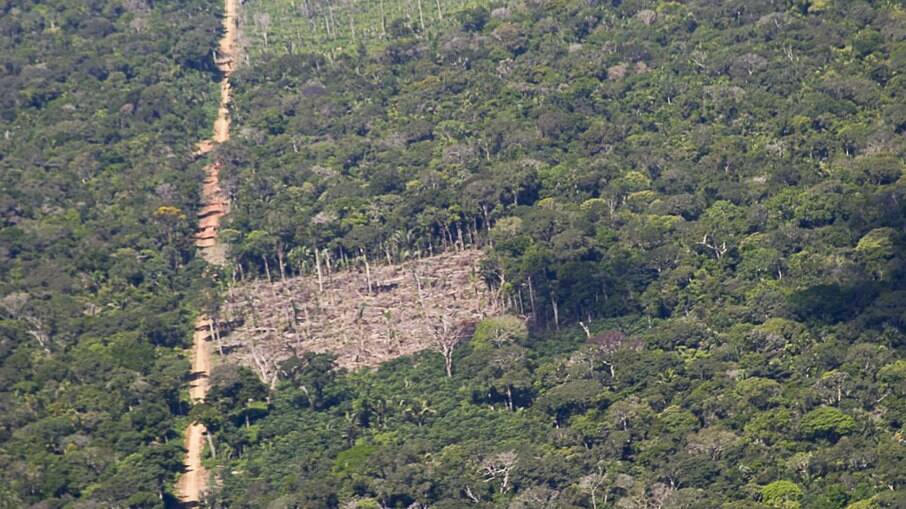 Amazônia tem novo recorde de desmatamento em março de 2021