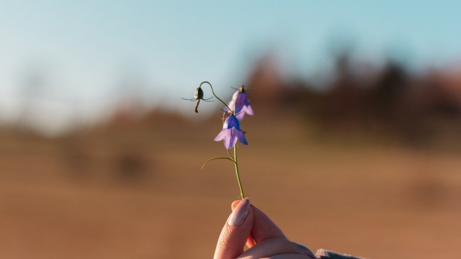 Tudo o que se aduba na vida, floresce!